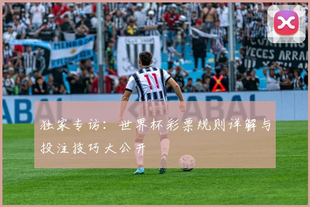 独家专访：世界杯彩票规则详解与投注技巧大公开