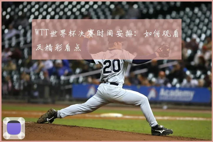 WTT世界杯决赛时间安排:如何观看及精彩看点