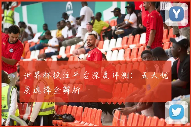 世界杯投注平台深度评测:五大优质选择全解析