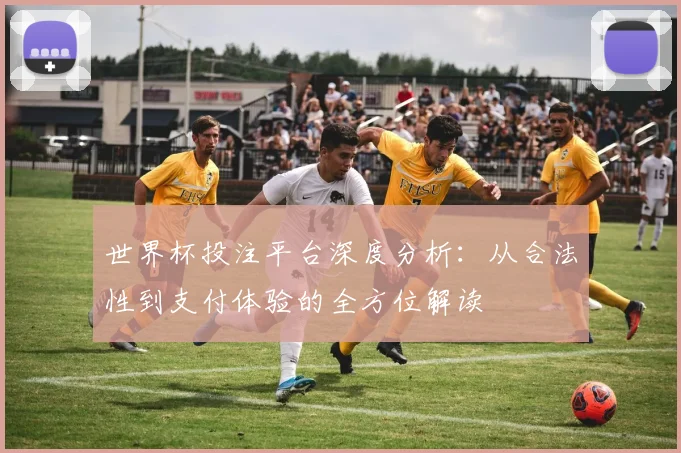 世界杯投注平台深度分析:从合法性到支付体验的全方位解读