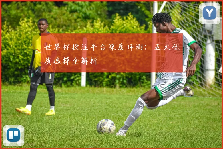 世界杯投注平台深度评测:五大优质选择全解析