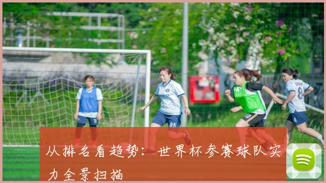从排名看趋势:世界杯参赛球队实力全景扫描