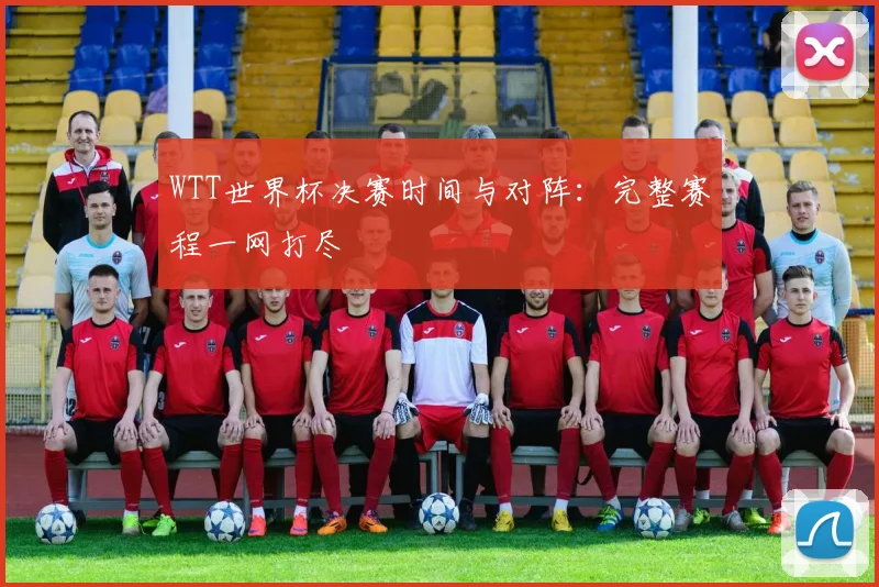 WTT世界杯决赛时间与对阵:完整赛程一网打尽