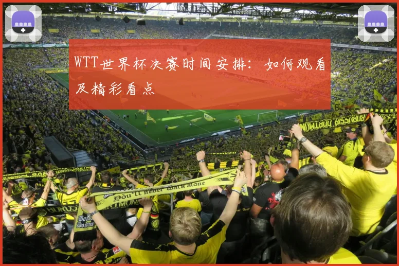WTT世界杯决赛时间安排:如何观看及精彩看点