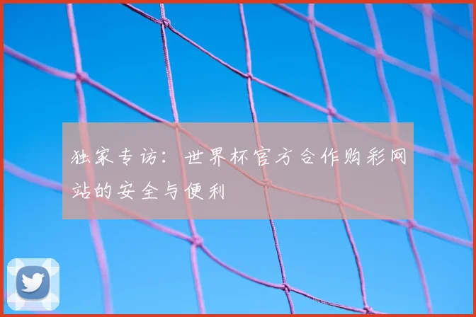 独家专访：世界杯官方合作购彩网站的安全与便利